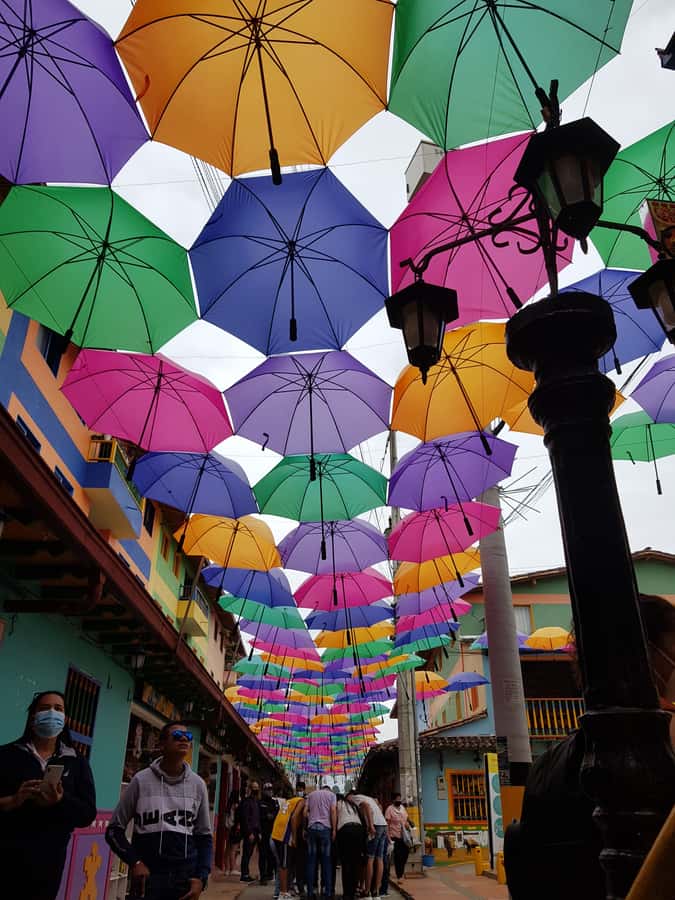 Medellin: Guatape, El Peñol Coffee Farm Private Tour & Fruit - Why this day trip works so well from Medellin