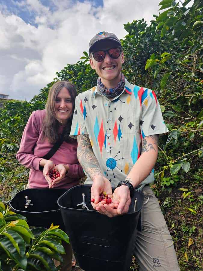 Medellin: Guatape, El Peñol Coffee Farm Private Tour & Fruit - Guatape’s painted streets and local stories