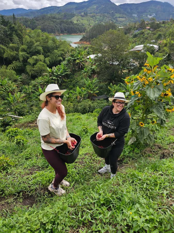 Medellin: Guatape, El Peñol Coffee Farm Private Tour & Fruit - What the guide adds to the price