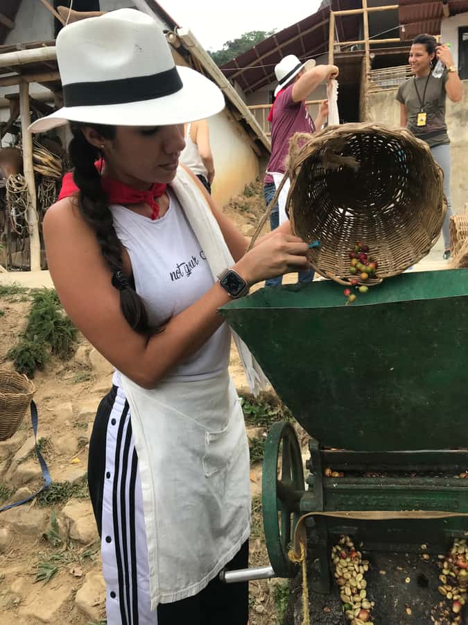 Medellín: Guatape Village with Coffee and Fruit Tasting Tour - Who should book this tour?