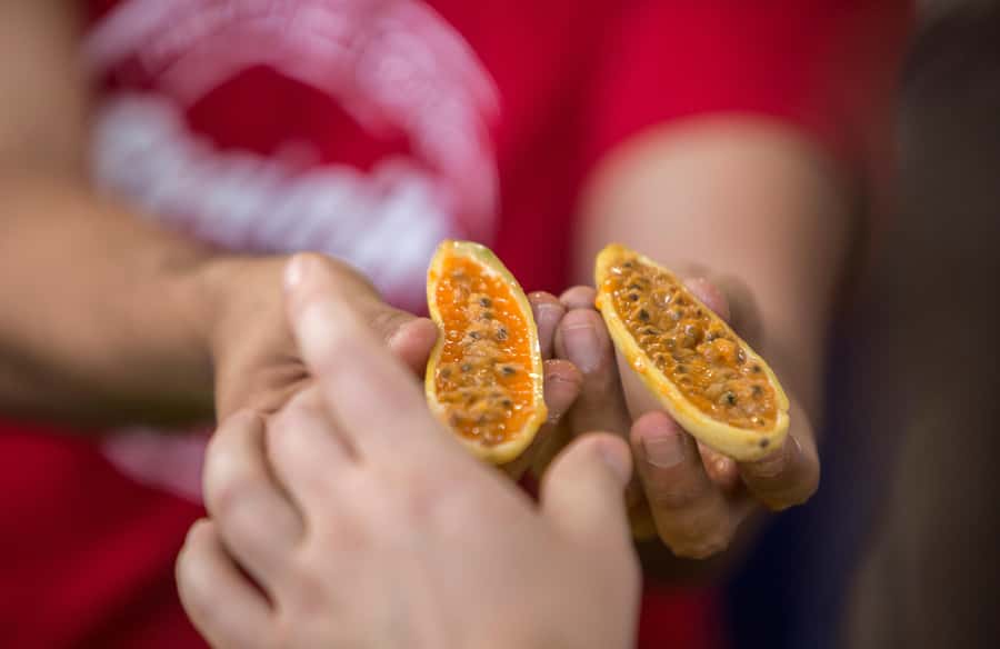 Medellín: Guided Exotic Fruits Tour - Meeting the people behind the stalls