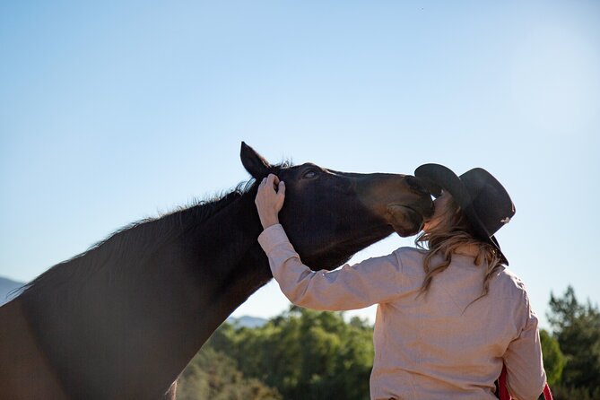 Medellin: Horseback Riding Adventure In Nature (Don't Overpay) - Meeting the horses at the farm