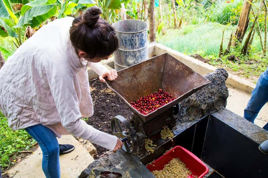Medellin: Horseback Riding Coffee Farm Tour with Coffee Spa - The coffee wellness spa