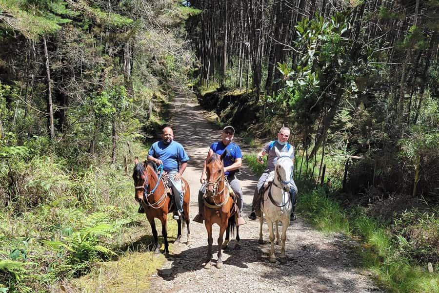 Medellin: Horseback Riding Coffee Farm Tour with Coffee Spa - Riding the old muleteer path