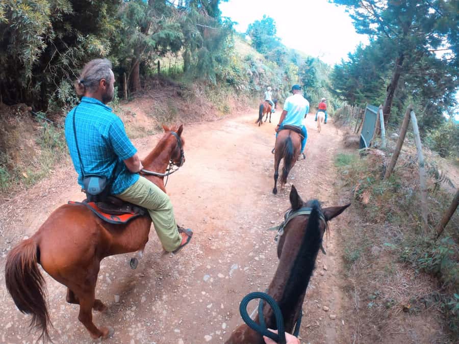 Medellin: Horseback Riding in the Medellin Mountains - Key Points at a Glance