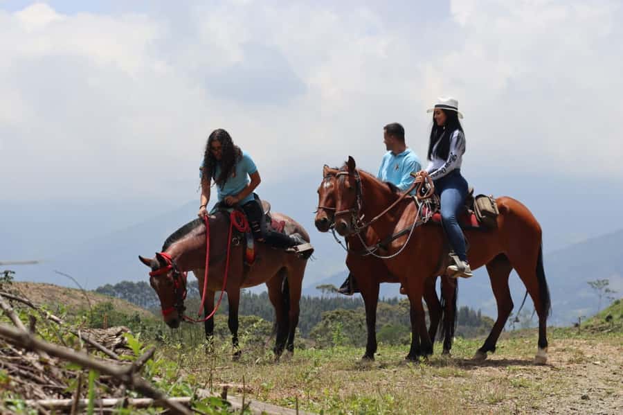 Medellin: Horseback Riding in the Medellin Mountains - Breaks, Snacks, and a Taste of Rural Hospitality