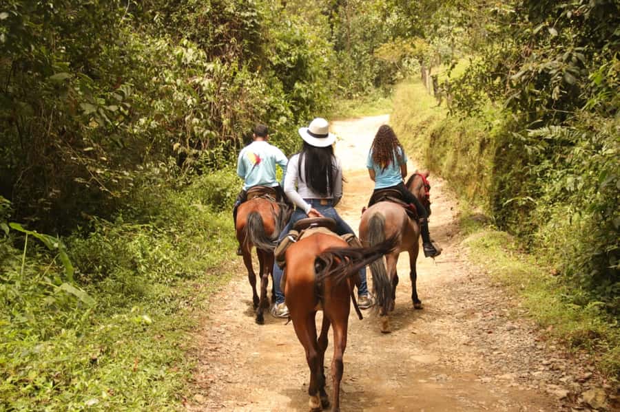 Medellin: Horseback Riding in the Medellin Mountains - Photos, Horses, and the Human Touch