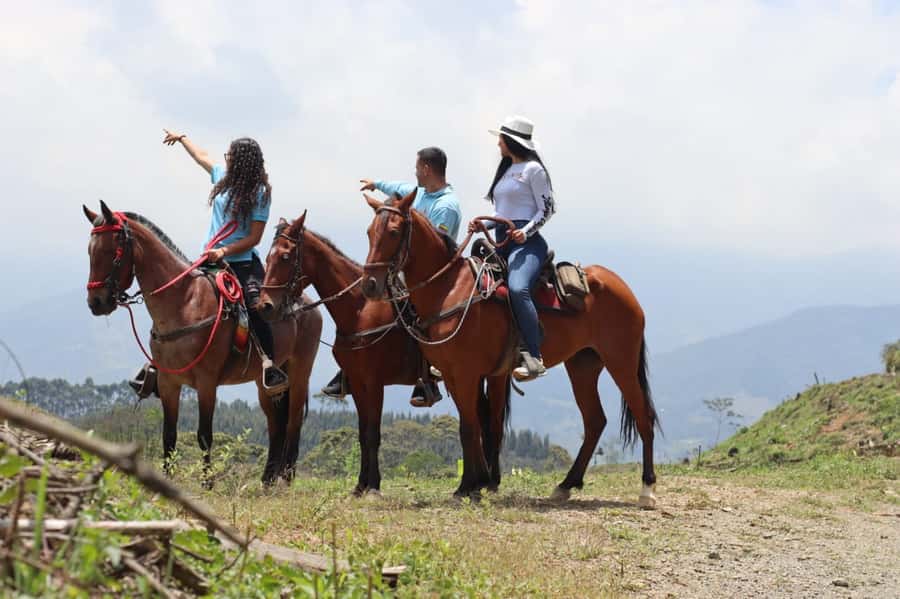 Medellin: Horseback Riding in the Medellin Mountains - What the $70 Price Really Buys You