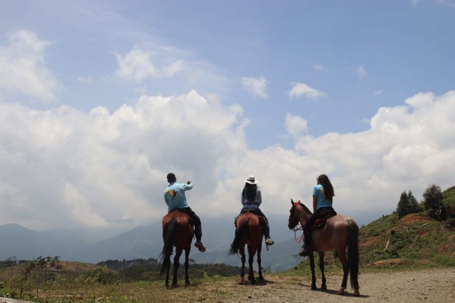Medellin: Horseback Riding in the Medellin Mountains - Who Will Enjoy This Ride Most