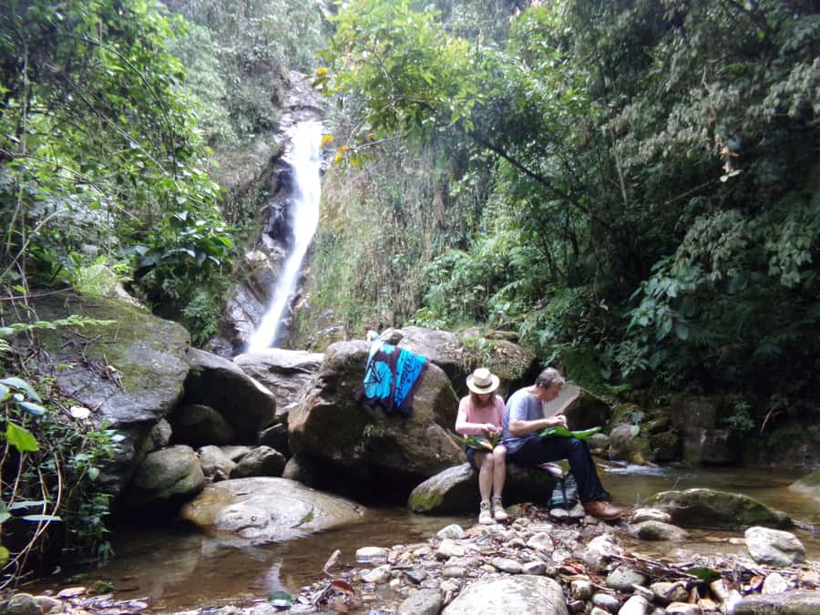 Medellín: Nature Experience & Waterfall-Hike - Key points to know before you book