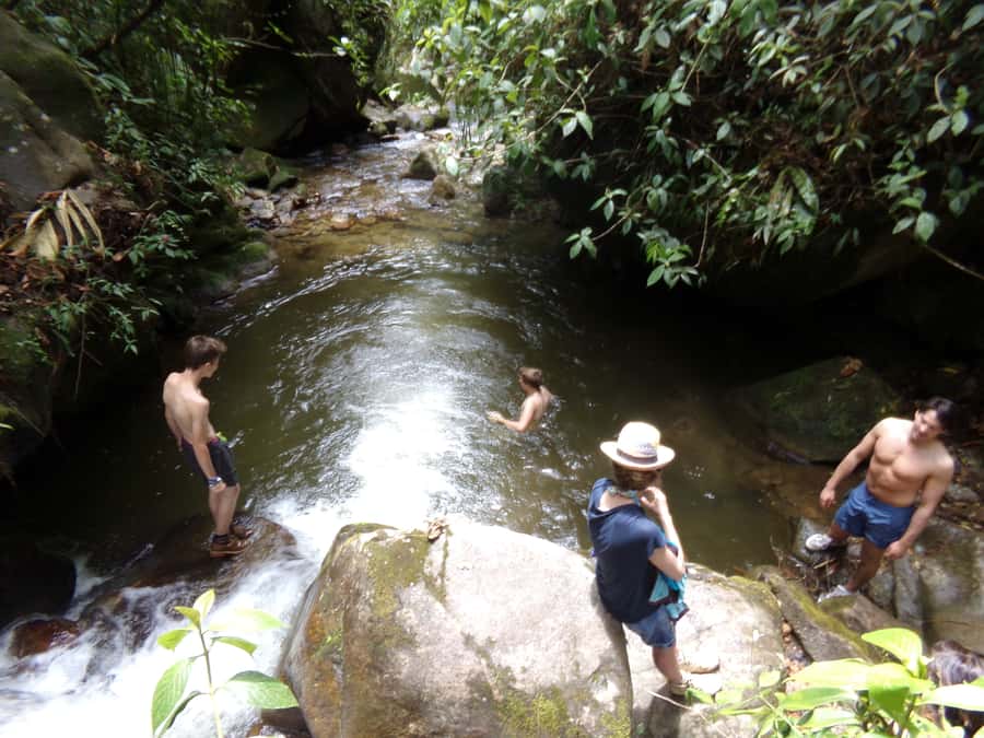 Medellín: Nature Experience & Waterfall-Hike - What the four-hour schedule really gives you