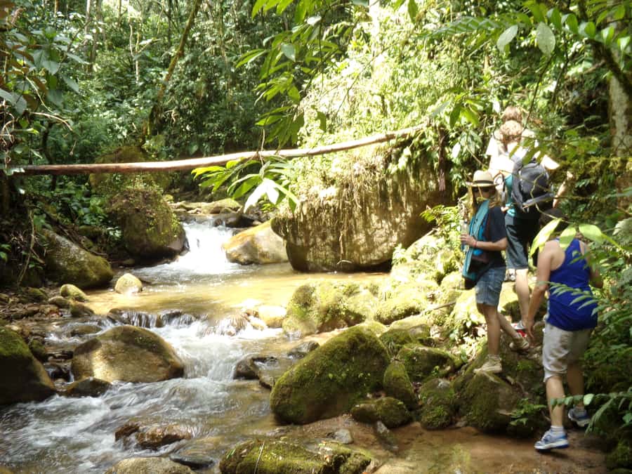 Medellín: Nature Experience & Waterfall-Hike - Who will enjoy La Miel most?