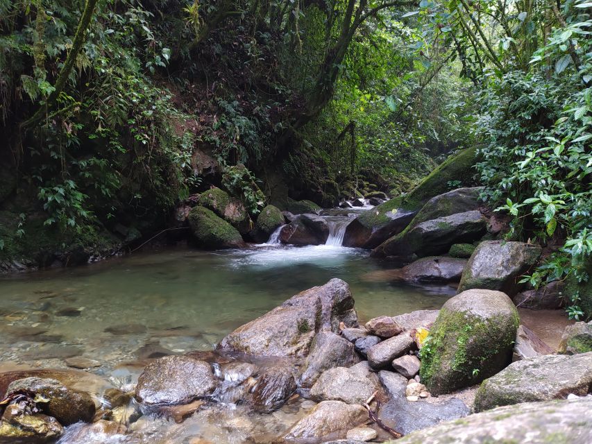 Medellín: Nature Experience & Waterfall-Hike - Should you book the La Miel waterfall hike?