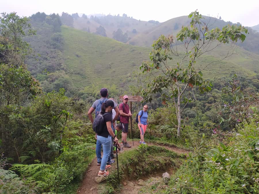 Medellín: Nature Experience & Waterfall-Hike - Following the Rio Miel into cloud forest