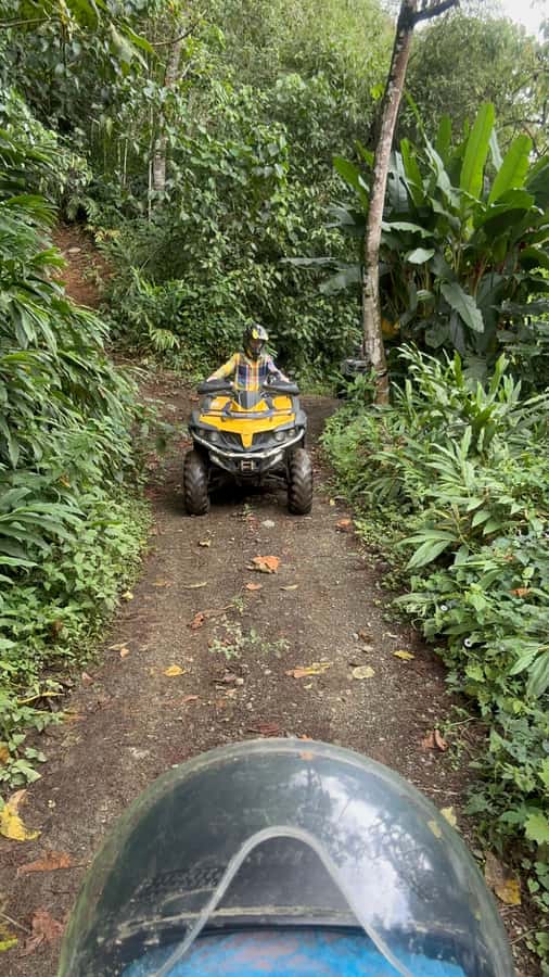 Medellin: Private ATV TOUR 1.5H - Who will enjoy this ATV tour most
