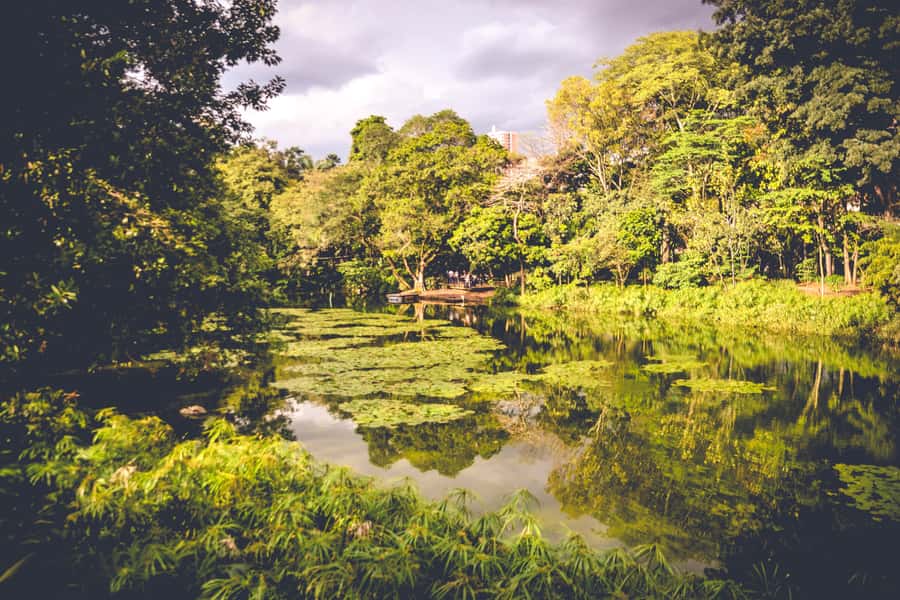 Medellin: Private City Tour - Why the private format matters at $49