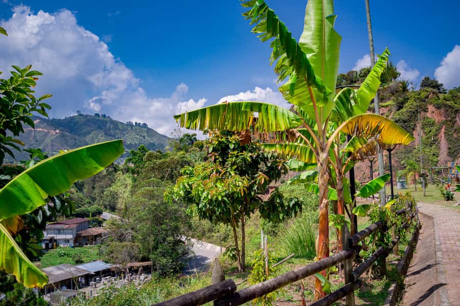 Medellín: Private Guatapé Tour w/ Breakfast, Lunch & Cruise - The reservoir cruise adds a slower hour
