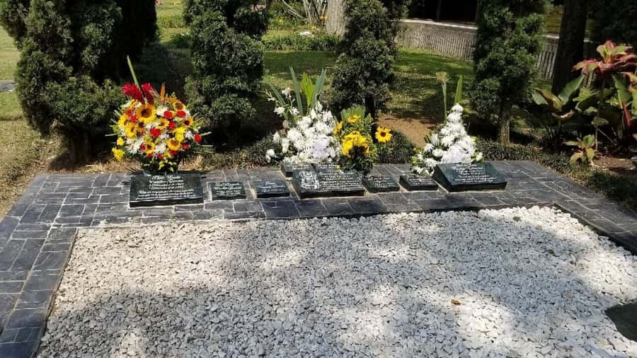 Medellín: Private Pablo Escobar and Comuna 13 Tour - The guides make or break the experience