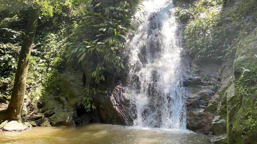 Minca: Hidden Waterfall + Coffee and Cocoa Workshop - Key points at a glance