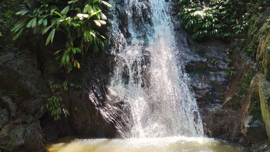 Minca: Hidden Waterfall + Coffee and Cocoa Workshop - Why this Minca day trip works