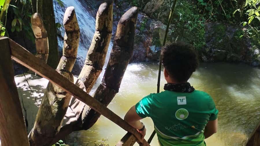 Minca: Hidden Waterfall + Coffee and Cocoa Workshop - Coffee, guadua, and the first 50-minute walk