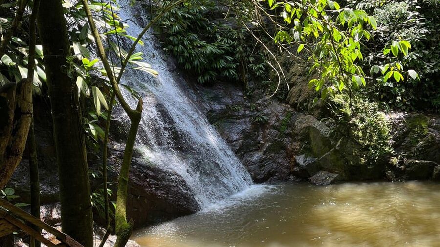 Minca: Hidden Waterfall + Coffee and Cocoa Workshop - Lunch after the trail