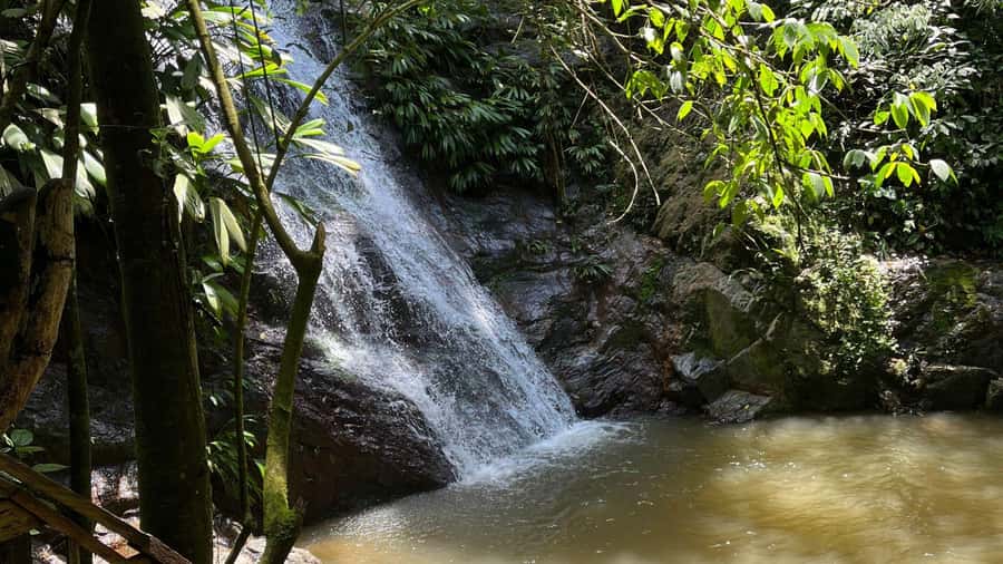 Minca: Hidden Waterfall + Coffee and Cocoa Workshop - What to pack for the humid forest