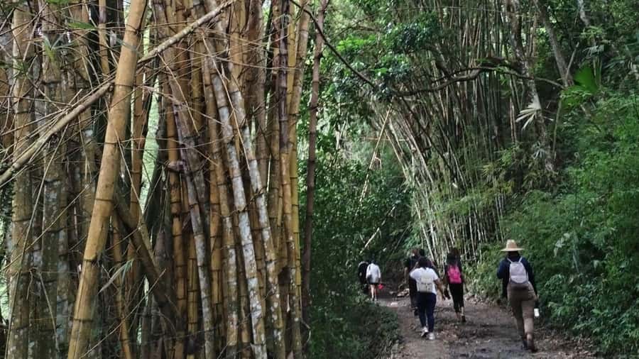 Minca: Hidden Waterfall + Coffee and Cocoa Workshop - The one-hour ride from Santa Marta to Minca