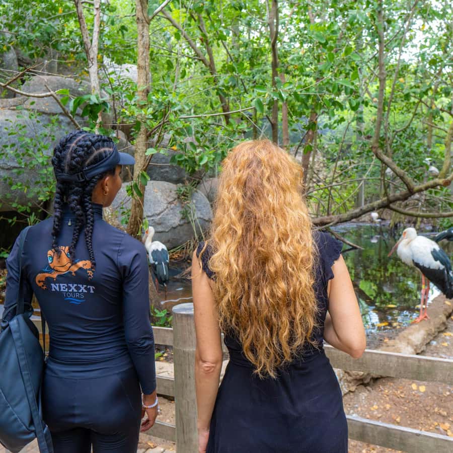 National Aviary and Playa Blanca Plankton Full-Day Tour - Mambo Beach Club and four hours by the water