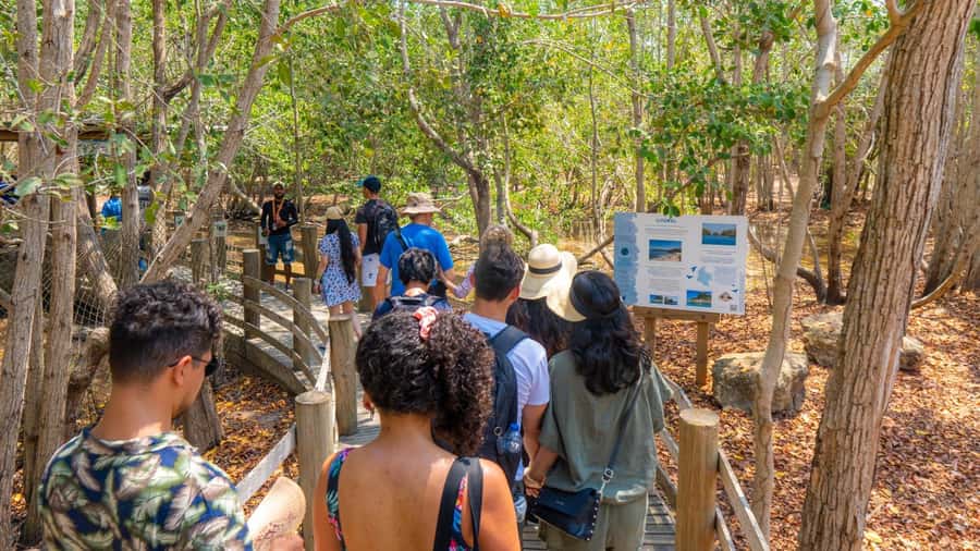 National Aviary and Playa Blanca Plankton Full-Day Tour - What the $83 price includes