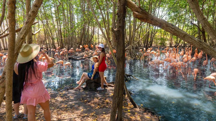 National Aviary and Playa Blanca Plankton Full-Day Tour - Practical packing advice for this exact route