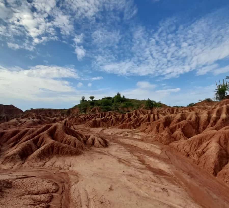 Neiva: Guided Day Trip to the Tatacoa Desert with Lunch - Key points to know before you book