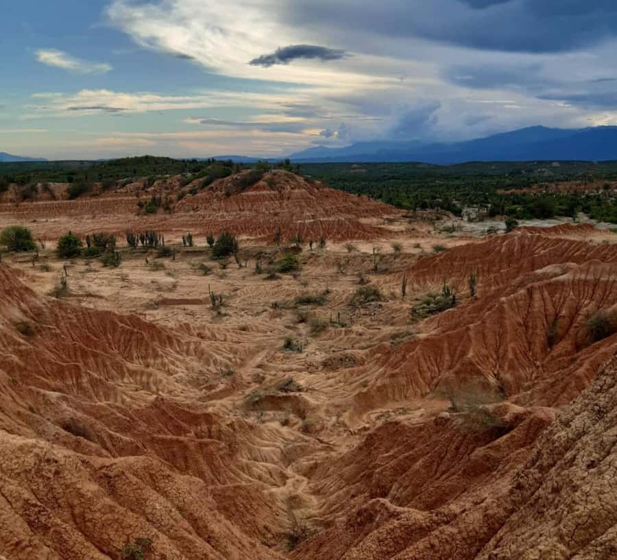 Neiva: Guided Day Trip to the Tatacoa Desert with Lunch - Leaving Neiva and reaching Villavieja