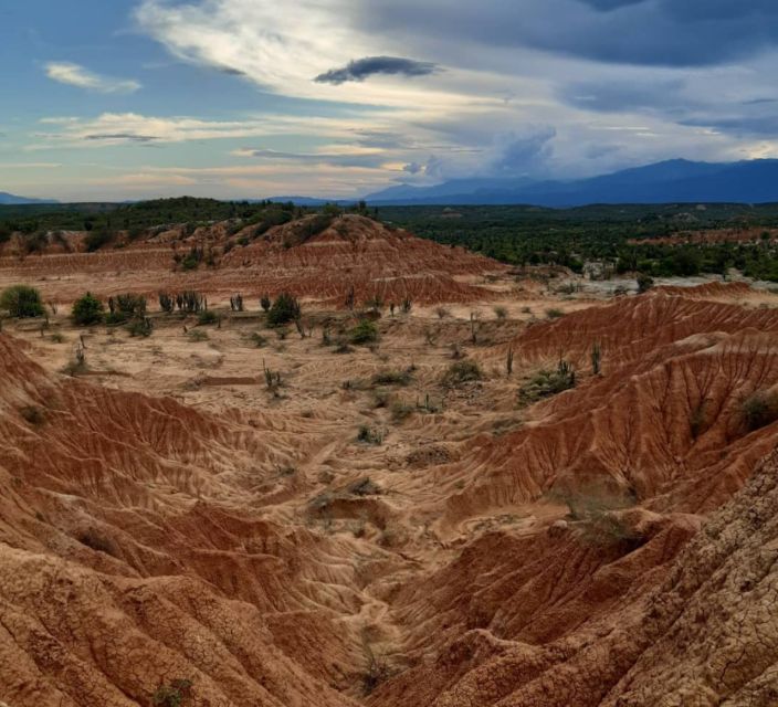 Neiva: Guided Day Trip to the Tatacoa Desert with Lunch - A spring-fed pool before lunch