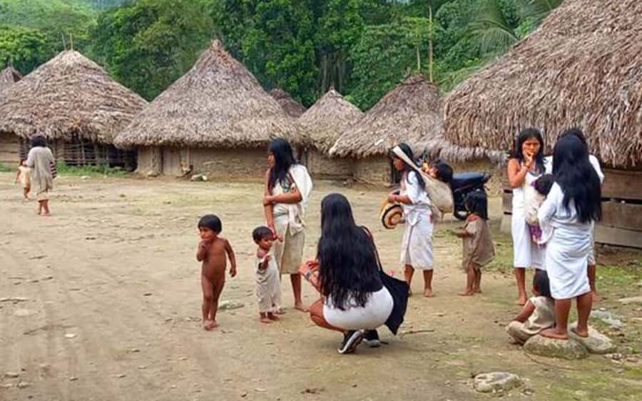 Palomino: Private Tour to Tungueka Indigenous Village - Key Details Before You Go