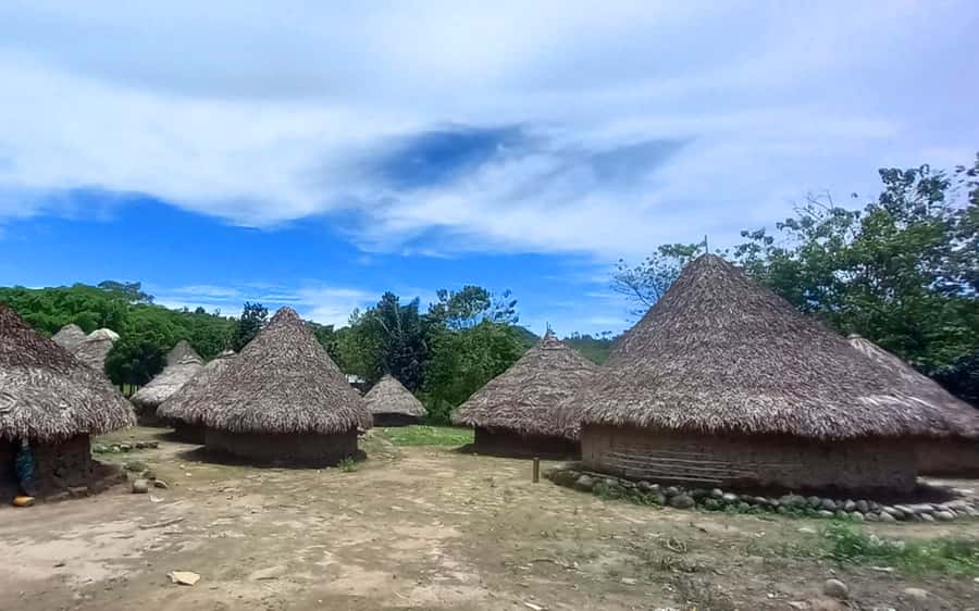 Palomino: Private Tour to Tungueka Indigenous Village - Should You Book the Tungueka Tour?