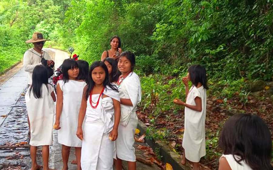 Palomino: Private Tour to Tungueka Indigenous Village - Meeting the Kogi Community at Tungueka