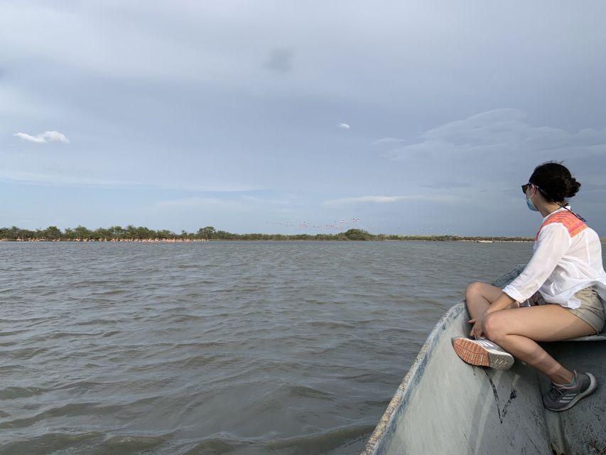 Palomino: Sanctuary of Flamingos Day Tour - Booking details that matter