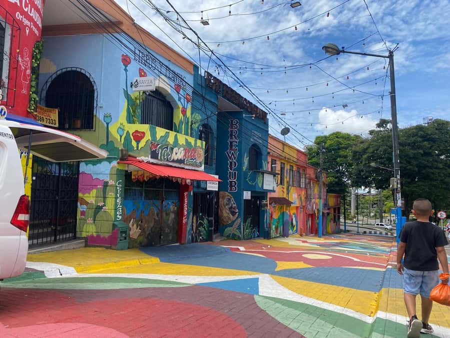 PEREIRA: PRIVATE TOUR OF MAIN SQUARES, HISTORICAL SITES + LOOKOUT POINT - El Lago Park and Claret Church
