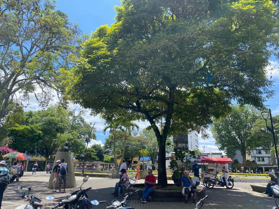 PEREIRA: PRIVATE TOUR OF MAIN SQUARES, HISTORICAL SITES + LOOKOUT POINT - Pereira’s historic block on foot
