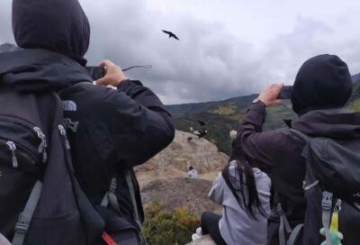 Condor Watching in Purace + San Juan Hot Springs