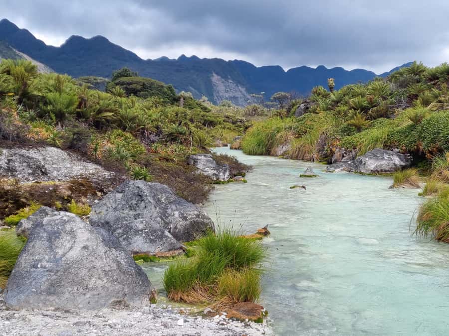 Popayan: Condor Watching in Purace + San Juan Hot Springs - Bedón waterfall at 3,600 meters