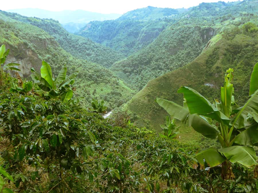 Private Jeep Tour to the Surroundings of San Agustín - Key points to know before booking