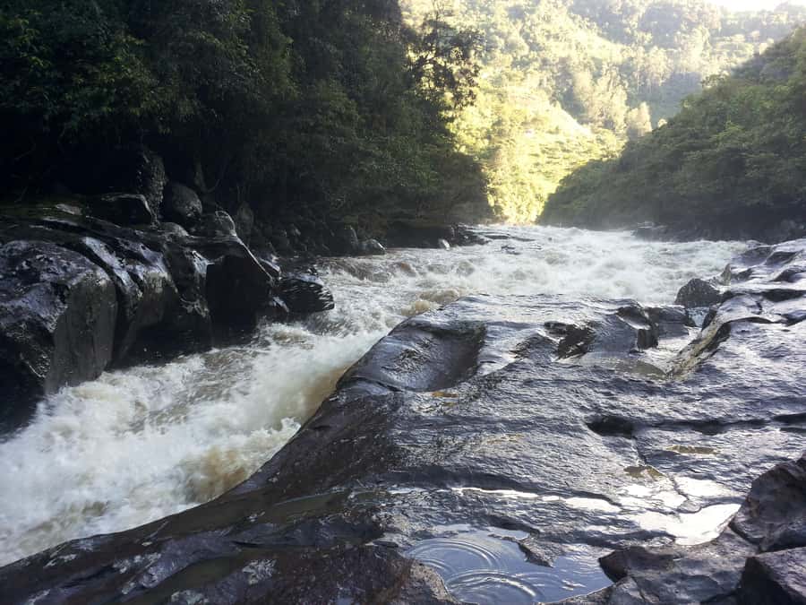 Private Jeep Tour to the Surroundings of San Agustín - The Magdalena River at Estrecho del Río Magdalena
