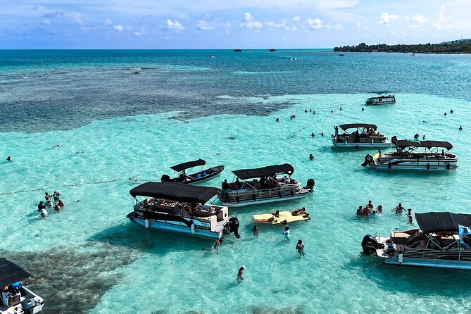 Private Marine Tour: Discover the 7 Colors of the San Andreas Sea - Key details at a glance
