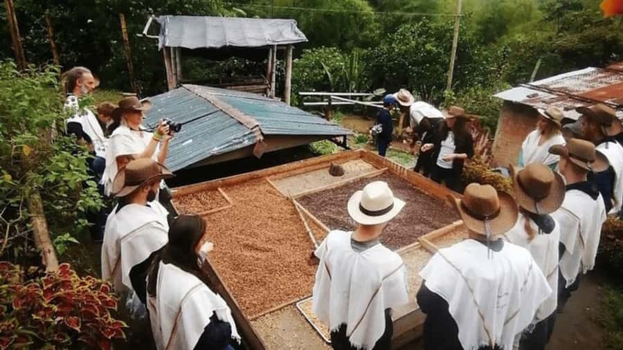 Salento and Cócora Tour + Coffee Farm from Pereira/Armenia - Key points to know before booking
