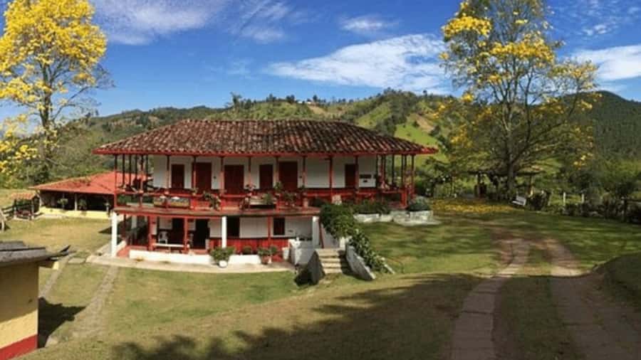 Salento and Cócora Tour + Coffee Farm from Pereira/Armenia - Why this private day works from Pereira or Armenia
