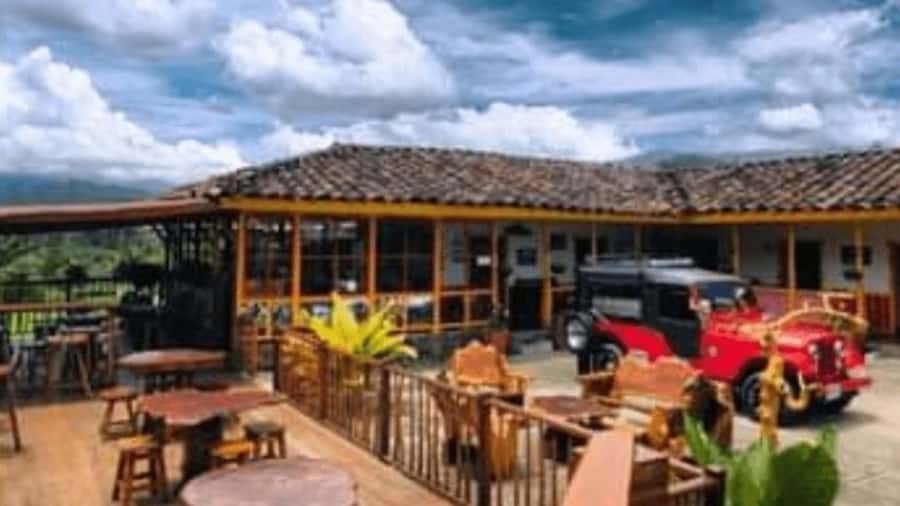 Salento and Cócora Tour + Coffee Farm from Pereira/Armenia - Cocora Valley and its giant wax palms