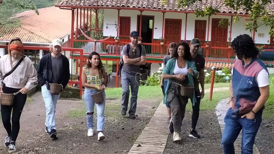 Salento and Cócora Tour + Coffee Farm from Pereira/Armenia - Is $173 per person fair value?