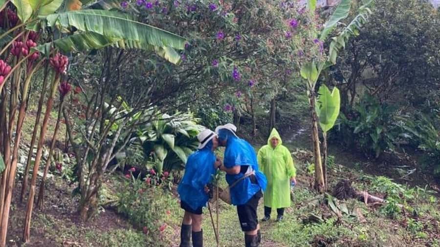 Salento and Cócora Tour + Coffee Farm from Pereira/Armenia - Timing, comfort, and small practical details